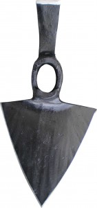 Moticica splitska Moticica splitska